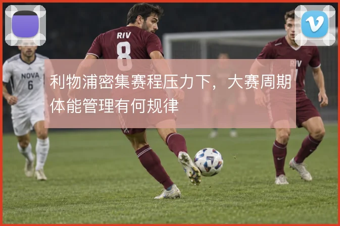 利物浦密集赛程压力下，大赛周期体能管理有何规律